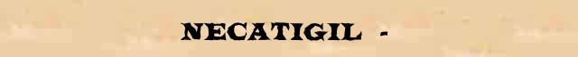  (Necatigil)  (1916-79)  ()      